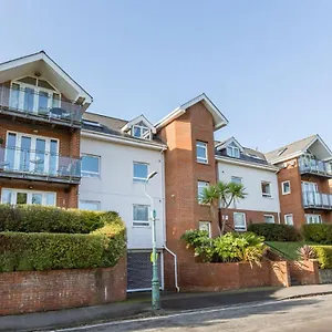 Daintree - Bournemouth